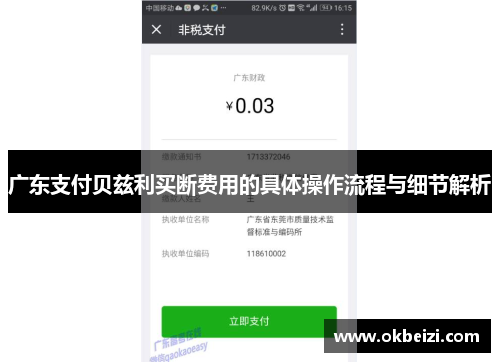 广东支付贝兹利买断费用的具体操作流程与细节解析